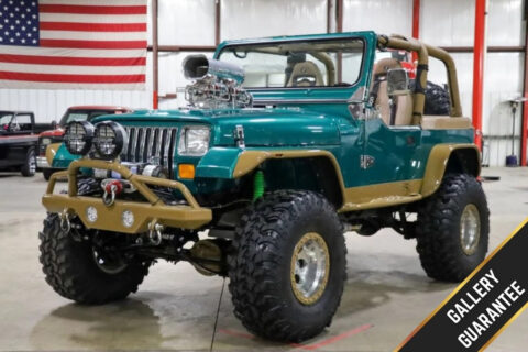 1995 Jeep Wrangler / Yj na prodej