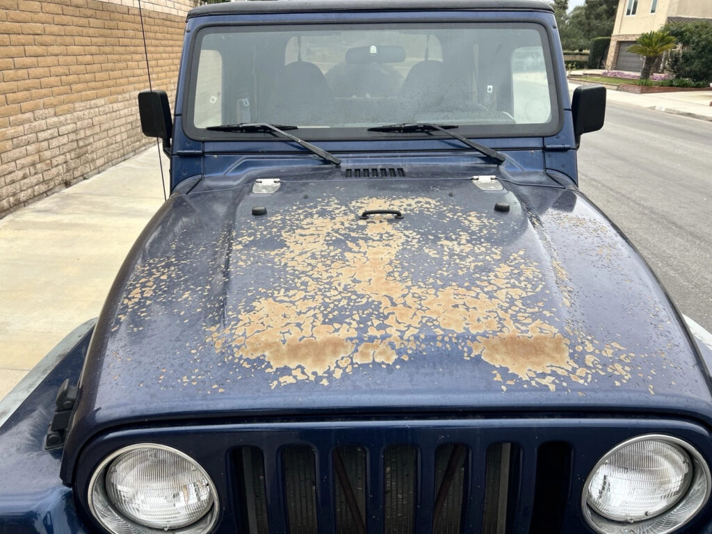 2001 Jeep Wrangler SE