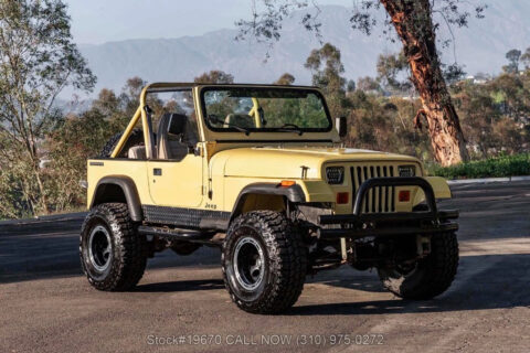 1991 Jeep Wrangler S na prodej